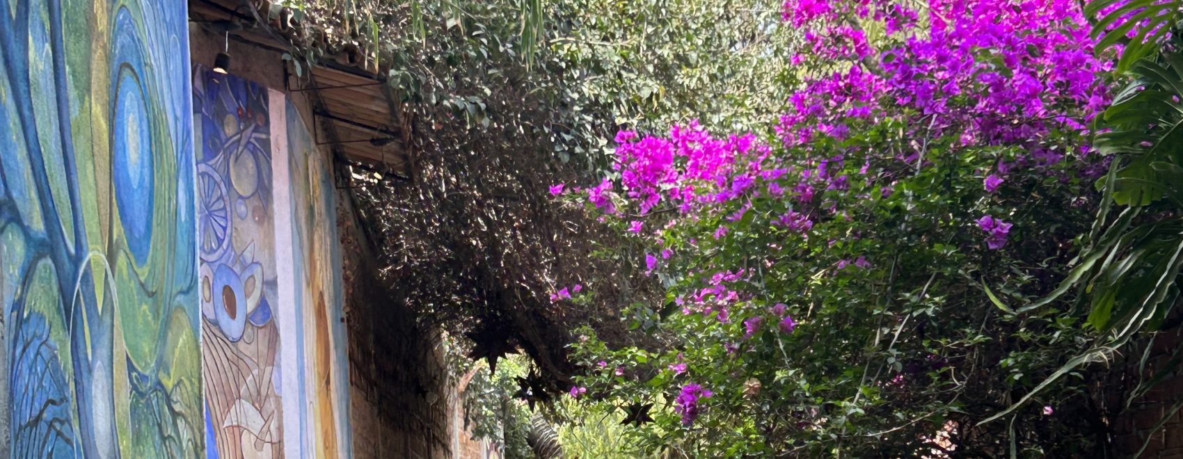 An alley in San Miguel with a blue mural on the left and a blooming pink bourgainvilla on the right